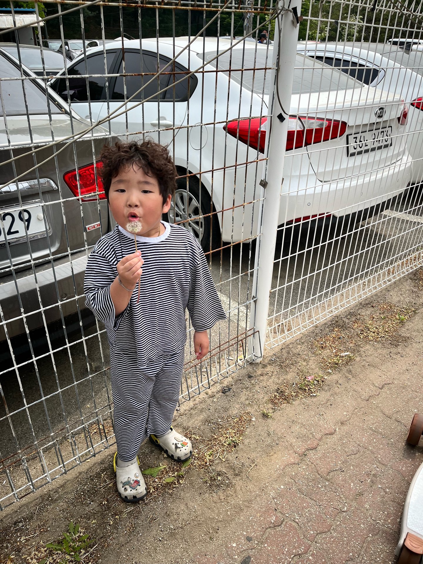 일기