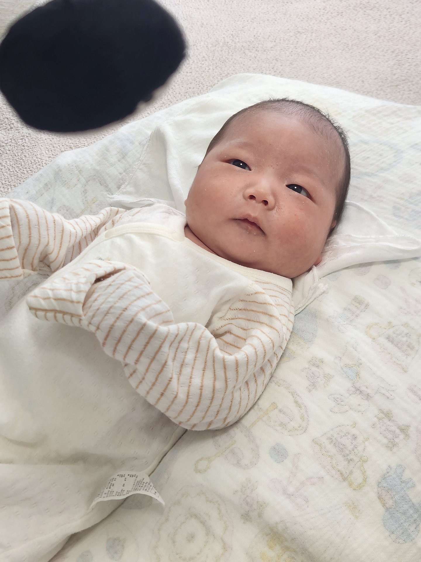김이로