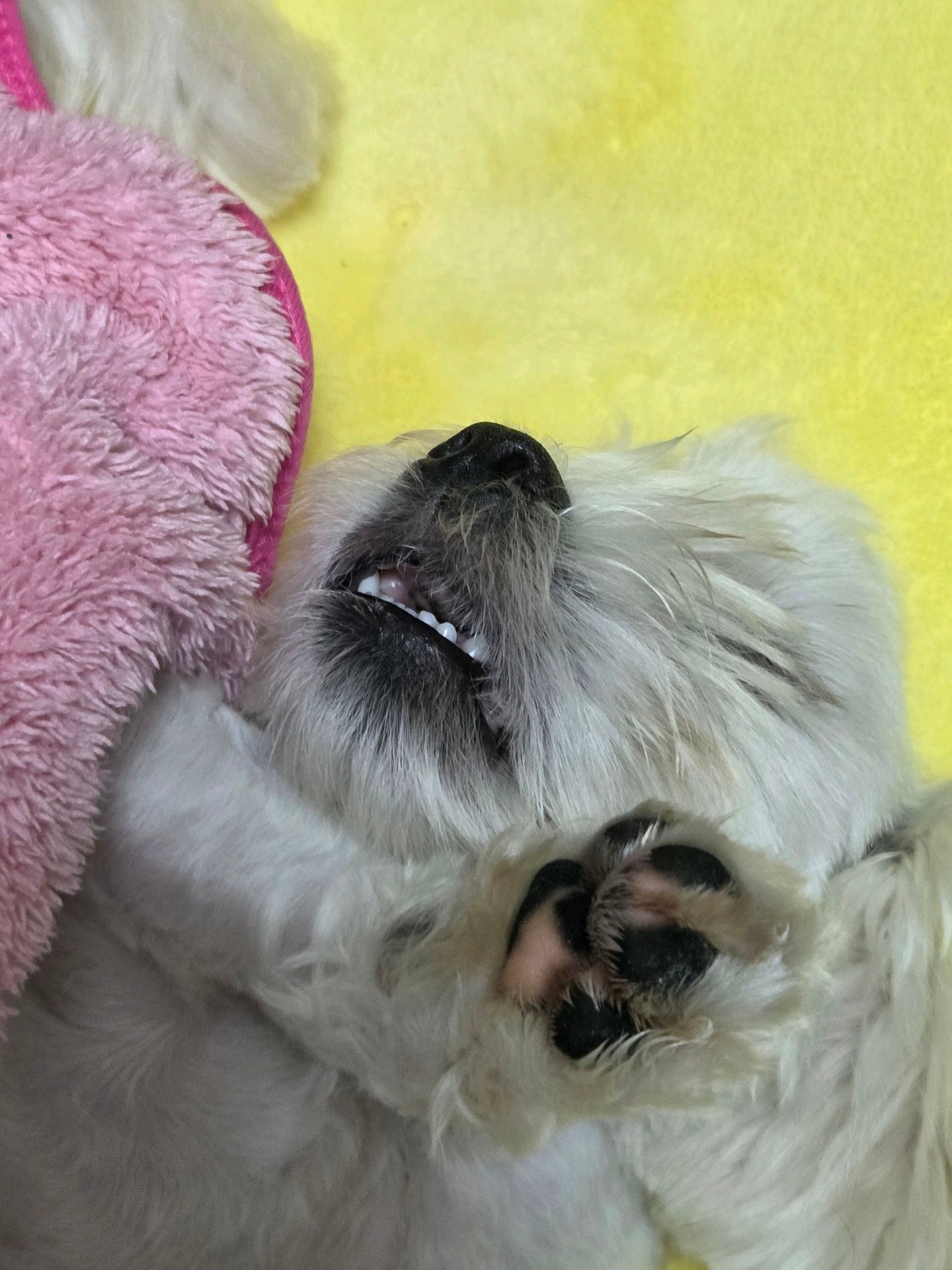 일기